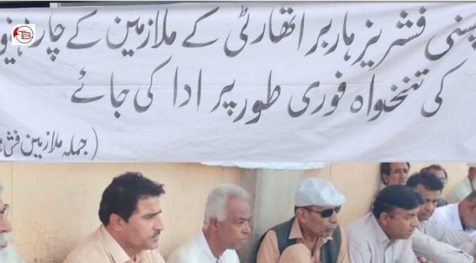 Pasni: Fish Harbor Authority Employees Continue Strike Over Unpaid Salaries