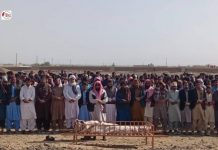 Balochistan: Fallen BLA Fighters Receive Floral Tributes and National Pride