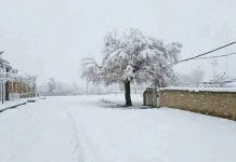 Eastern Afghanistan: Landslide Kills 25 After Heavy Snowfall