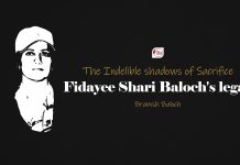 The Indelible Shadows of Sacrifice: Fedaee Shari Baloch’s Legacy
