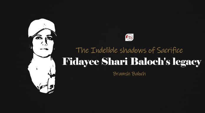 The Indelible Shadows of Sacrifice: Fedaee Shari Baloch’s Legacy