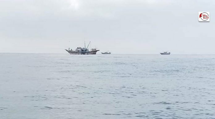 Unchecked Trawling Decimates Marine Life and Livelihoods in Balochistan’s Coastal Waters