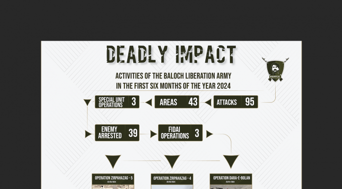 BLA’s Six-Month Report of Operations Released, 253 Personnel Killed in 95 Attacks