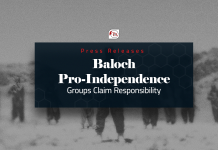 BLF Says It Captured and Killed Alleged Informant; BRG Claims IED Attack on Police in Dera Allah Yar