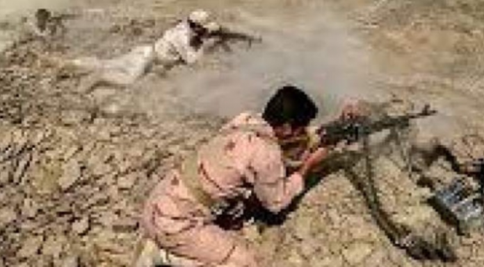 Iranian Forces Accused of Killing Over 250 Afghan Migrants at Border