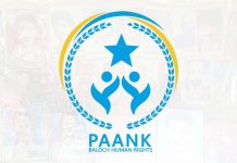 Paank October Report: Six Killed in Airstrikes, 20 Missing Persons Executed, 87 Forcibly Disappeared