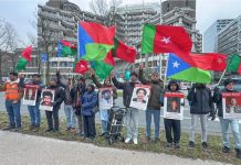 BNM Urges Netherlands to Pressure Pakistan Over Human Rights Violations in Balochistan