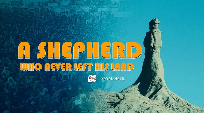 A Shepherd Who Never Left His Land