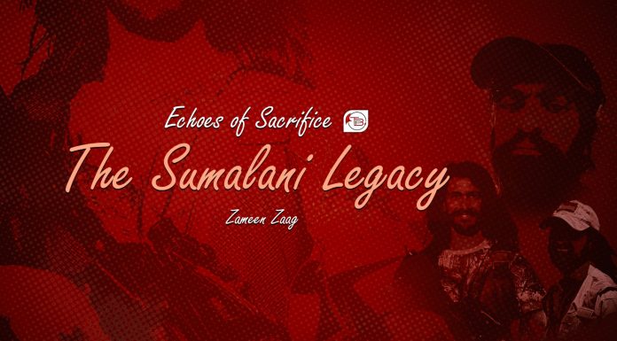 Echoes of Sacrifice: The Sumalani Legacy — Zameen Zaag