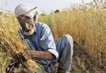 Balochistan Assembly Approves Agricultural Income Tax Bill, Farmers Call It Anti-Farmer Move
