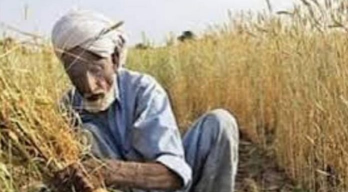 Balochistan Assembly Approves Agricultural Income Tax Bill, Farmers Call It Anti-Farmer Move
