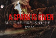 A Spark is Given, but the Fire is Made — Zameen Zaag