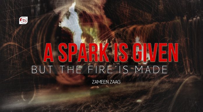 A Spark is Given, but the Fire is Made — Zameen Zaag