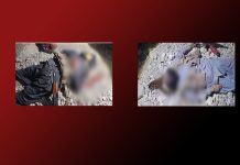 CTD claims killing of seven alleged BLA members in Ziarat