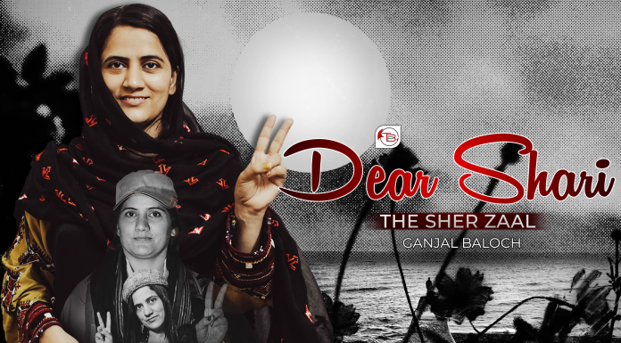 Dear Shari, The Sher Zaal — Ganjal Baloch