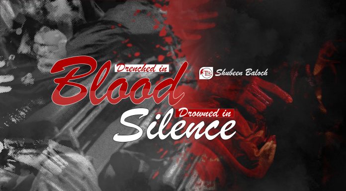 Drenched in Blood, Drowned in Silence — Shubeen Baloch