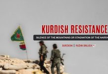 Kurdish Resistance: Silence of the Mountains or Stagnation of the Narrative? — Burz Kohi