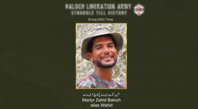 BLF Claims Attack on Security Forces in Hoshab; BLA Reports Fighter Killed in Clash