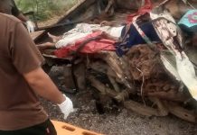 Lasbela: Nine Killed, Two Injured in Traffic Accident