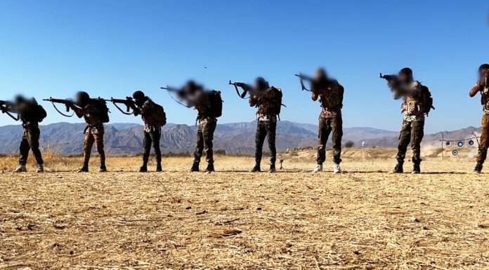 US Designates BLA and Majeed Brigade as ‘Terrorist’ Groups, Analysts Say Impact Will Be Minimal