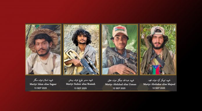 Seven Pakistani Soldiers, Four BRAS Fighters Killed in Mastung and Zamuran Clashes