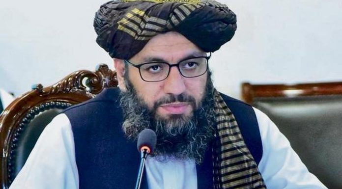 Taliban Appoint First Official Envoy to India Since 2021, Signalling Cautious Diplomatic Engagement
