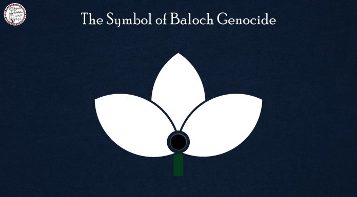 BYC Says Baloch Nation Faces ‘Systematic Genocide,’ Urges International Action