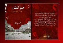 BLA Media Wing Publishes New Book by Bashir Zeb Baloch