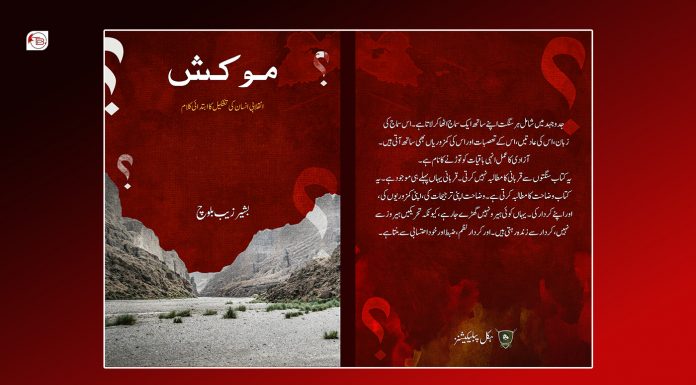 BLA Media Wing Publishes New Book by Bashir Zeb Baloch