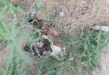 Two Bodies Recovered in Kech; One Identified as Previously ‘Missing Person’