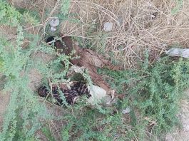 Two Bodies Recovered in Kech; One Identified as Previously ‘Missing Person’