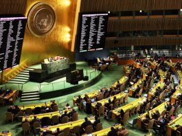 Japanese Delegate Raises Concerns Over Human Rights Violations in Balochistan at UN Council