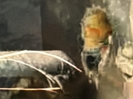 Gas Pipeline Blown Up in Sohbatpur; BRG Claims Responsibility