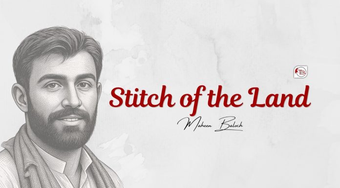 Stitch of the Land — Maheen Baloch