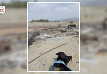 Pakistani Forces Launch Operations in Kech and Gwadar; Houses Set Ablaze in Tump