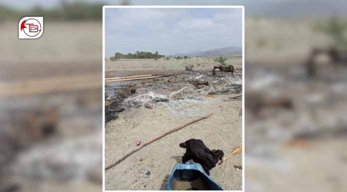 Pakistani Forces Launch Operations in Kech and Gwadar; Houses Set Ablaze in Tump