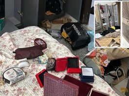Sammi Deen Says Police, Law Enforcement Personnel Raided Her Karachi Home After Weeks of Harassment