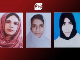 VBMP Submits Cases of Forcibly Disappeared Baloch Women to Commission, Government