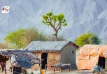 Thousands Leave Villages in Balochistan’s Gwadar, Reasons Unclear
