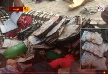 Homes of Three Disappeared Men Attacked in Balochistan’s Kech, Sources Say